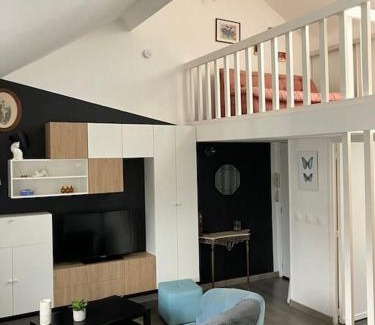 Saint-Maurice Pellevoisin Apartment | La Petite Place Lille St Maurice