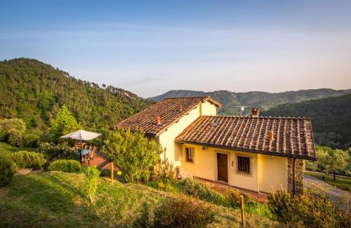 Pescaglia Villa | La Pianella Farmhouse