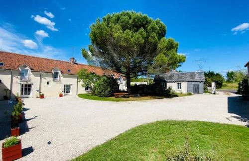 Oisly Bed & Breakfast | La Pillebourdiere