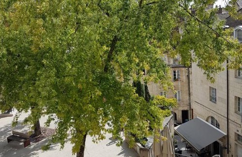 Dole Apartment | La place aux fleurs