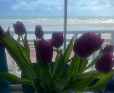 Le Portel Apartment | La Plus Belle vue sur la Mer