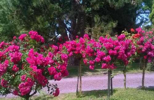 Trevieres House | La Pomme Rouge
