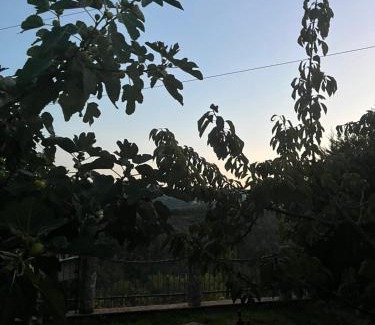 Trenta Apartment | La Quercia