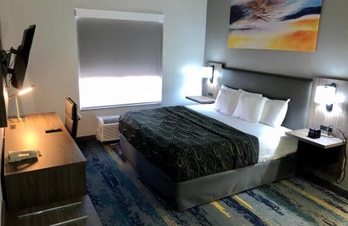 Pinecrest West Park Hotel | La Quinta by Wyndham Tampa Central