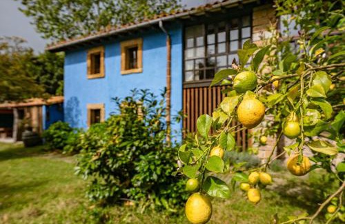 Villaviciosa House | La Quintana de la Foncalada