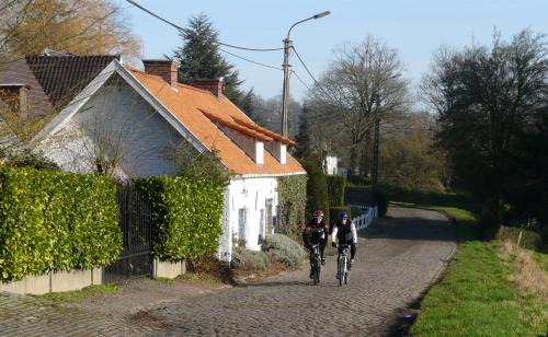 Ronse House | La Quitapenas
