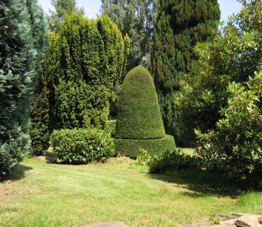 Bouillon House | La Ramonette