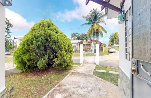 San Ignacio House | La Rana