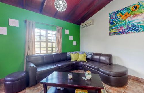 San Ignacio House | La Rana