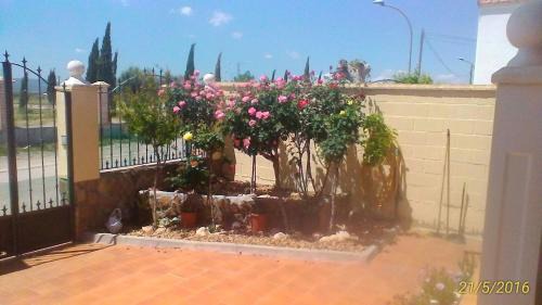Orgaz House | La Rosaleda de Orgaz