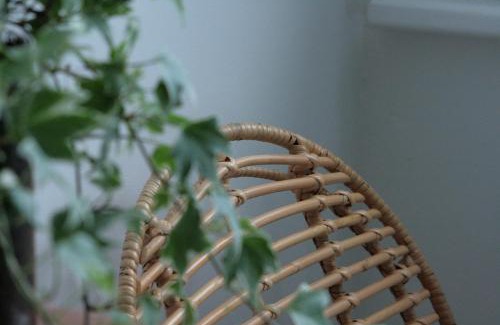 Annecy Apartment | La Roseraie - Apartment 100m from Lake Annecy
