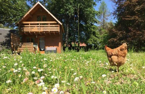 Chouzy-sur-Cisse Ski Chalet | La Rossignolerie - Gîte des châteaux