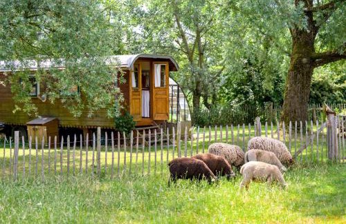 Haut-Bois Other | La Roulotte de la Ferme de Froidefontaine