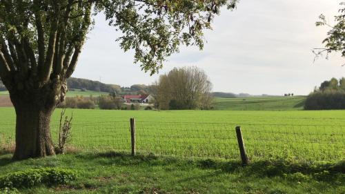 Tournai House | La Roulotte du Moulin de Thimougies