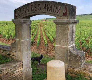 Beaune Apartment | la route des vins