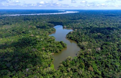 Providencia Cabin | La Selva Eco-Lodge & Retreat