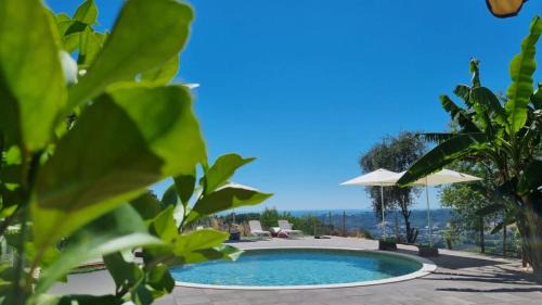Massignano Bed & Breakfast | La Sorgente Country House