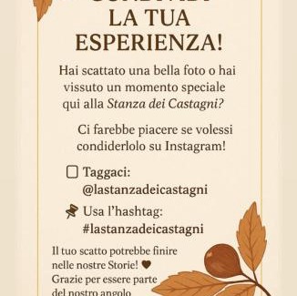 Villar Focchiardo Apartment | La Stanza dei Castagni