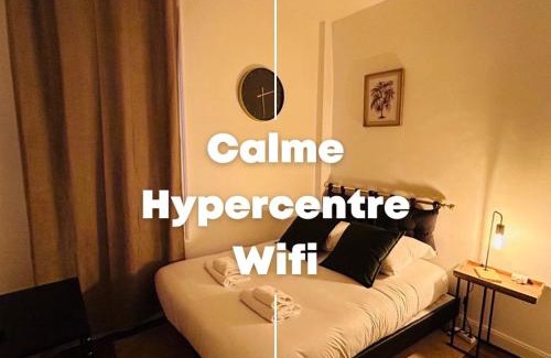 Reims City Centre Apartment | La Suite Briand - Hypercentre