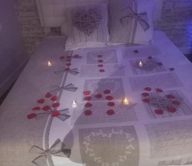 Levroux Apartment | La suite de Chez Adeline , 45 minutes from Beauval Zoo