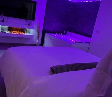 Castelnau-le-Lez Apartment | La suite