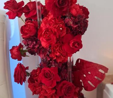 Le Luc Bed & Breakfast | La Suite Love