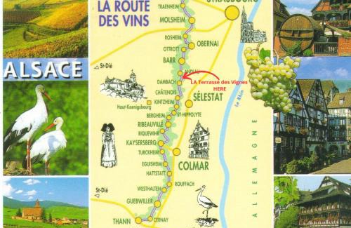 Blienschwiller House | La Terasse des Vignes - Maison 2 Chambres - 4 Personnes
