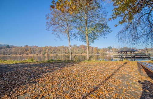 Vielsalm Apartment | La Terrasse du Lac