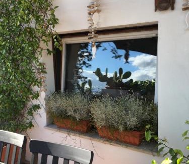 Senigallia Bed & Breakfast | La Terrazza Sui Tetti