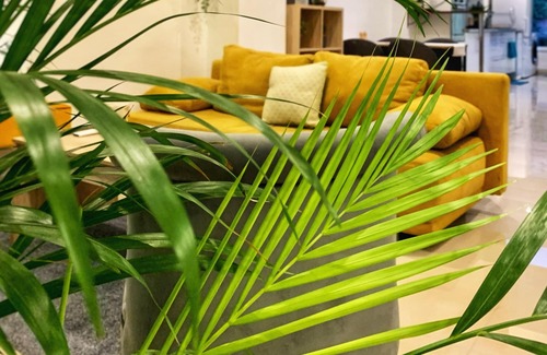 Croix House | La Tropical de Croix - Chambre d'Hôtes