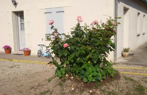 Noyers-sur-Cher House | La Tuilerie