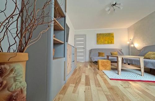 Druskininkai Apartment | La Vida apartment
