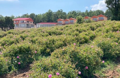 Keciborlu Hotel | La Vie En Rose Hotel by Sogutdagi Isparta