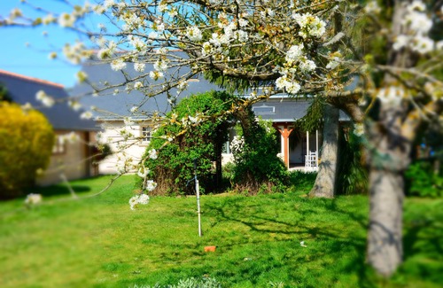 Varennes sur Loire House | La Villa Bernard: with friends or family