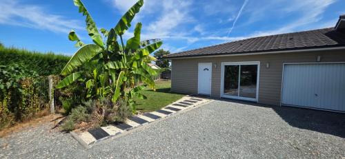Brach Villa | La VILLA DES PINS Maison Standing 7 pers Terre et Mer