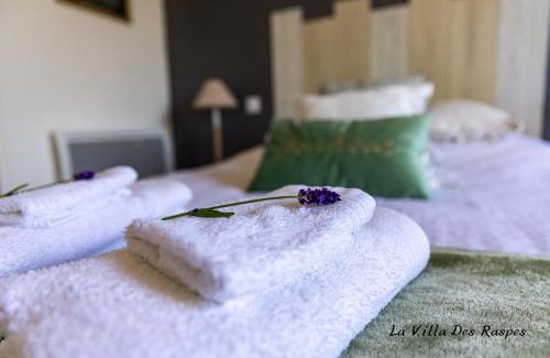 Viala-du-Tarn Bed & Breakfast | La Villa des Raspes - Séjour Bien être et Spa - Réservé aux Adultes