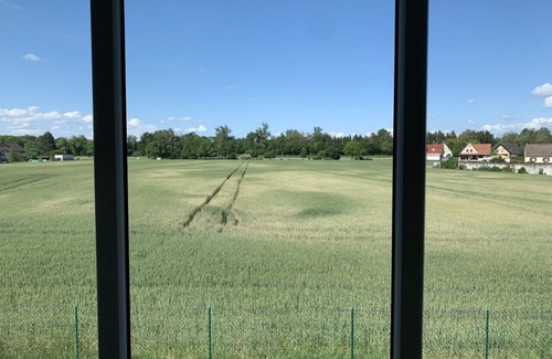 Daubensand House | La Villa du Ried, close to the wilderness and EuropaPark