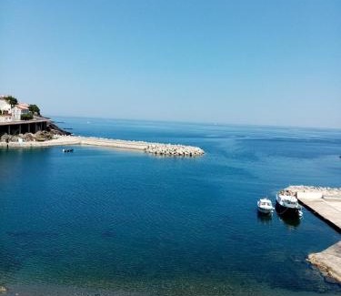 Cerbere House | La Villa Rosace