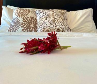 The Bight Apartment | La Vista Azul Resort - Studio