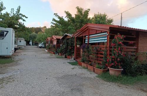 Agropoli Other | LA VOLPE DI AGROPOLI
