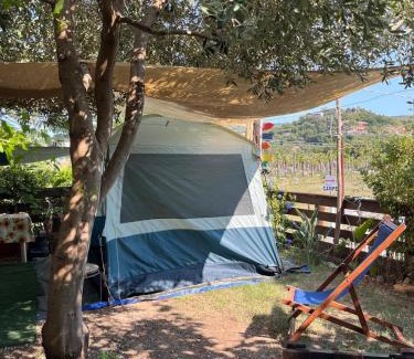 Agropoli Other | LA VOLPE DI AGROPOLI