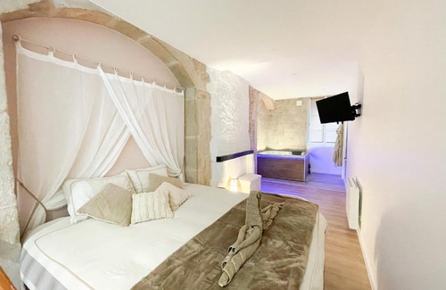 Dole Apartment | La voute Doloise - Love room & spa