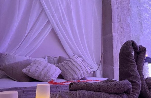 Dole Apartment | La voute Doloise - Love room & spa