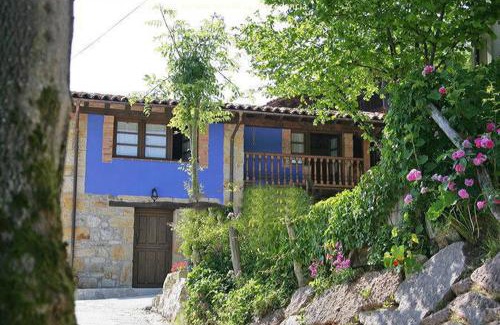 Becena House | La xica ll