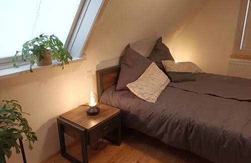 Dahn House | Lachberg9