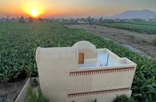 Luxor Apartment | Lady of the Sun Guesthouse