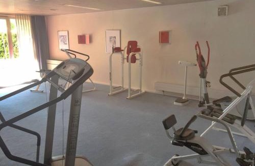 Bissone Apartment | Lago di Lugano a Bissone