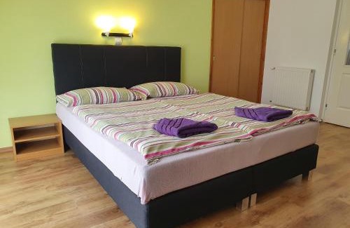 Heviz Apartment | Laguna Apartmanház