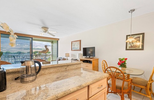 Historic Lahaina Front Street Apartment | Lahaina Shores 504: West Maui Mountain View