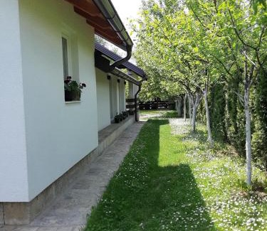 Mali Radic House | Lahor